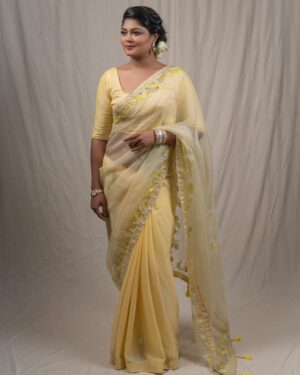 Laser Cut Applique Muslin Saree