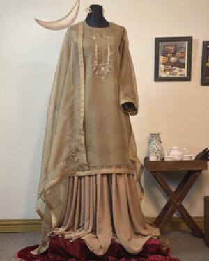 Statement Muslin Kameez (Gold)