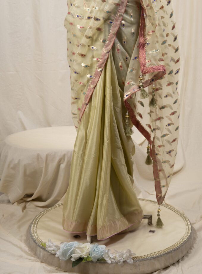Meena Work Tissue & Chinon Silk Saree