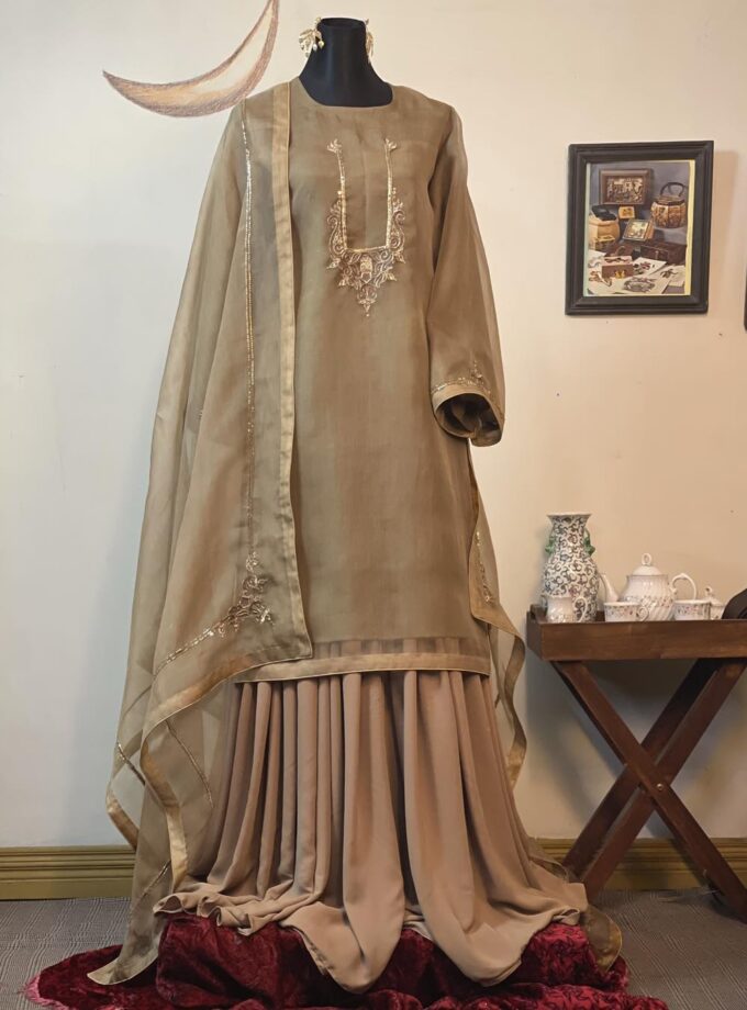 Statement Gold Muslin Kameez