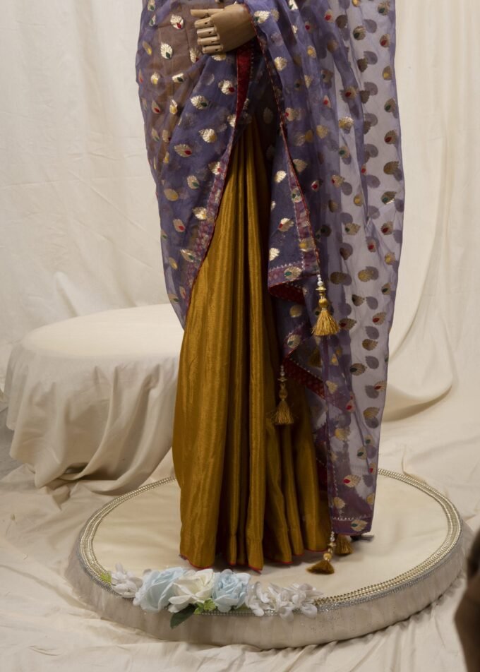 Meena Work Tissue & Chinon Silk Saree
