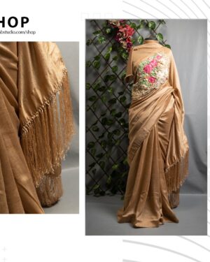 Bichitra Silk Carnation Saree